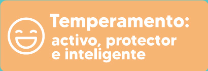 temperamento-border